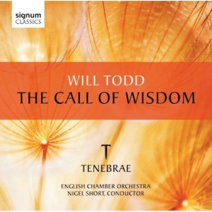 Todd - The Call Of Wisdom i gruppen VI TIPSAR / Julklappstips CD hos Bengans Skivbutik AB (519792)