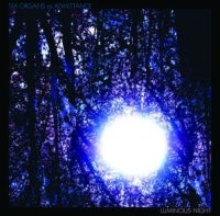 Six Organs Of Admittance - Luminous Night i gruppen CD / Pop-Rock hos Bengans Skivbutik AB (524726)