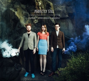 Riedel/Svensson/Skokic - Perfectly Still i gruppen CD / Jazz hos Bengans Skivbutik AB (527213)