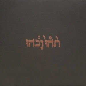 Godspeed You Black Emperor - Slow Riot For New Zero Kanada i gruppen Minishops / Godspeed You hos Bengans Skivbutik AB (533809)