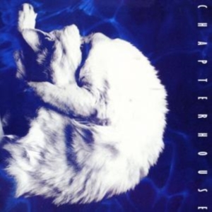 Chapterhouse - Whirlpool i gruppen CD / Pop-Rock hos Bengans Skivbutik AB (535646)