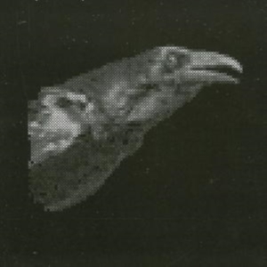 Cut City - Exit Decades i gruppen CD / Pop-Rock,Reggae hos Bengans Skivbutik AB (536577)