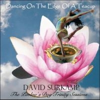 Surkamp David - Dancing On The Edge Os A Teacup i gruppen CD / Pop-Rock hos Bengans Skivbutik AB (539469)