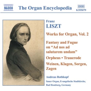 Liszt Franz - Organ Works Vol 2 i gruppen VI TIPSAR / Julklappstips CD hos Bengans Skivbutik AB (546249)