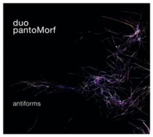 Duo Pantomorf - Antiforms i gruppen Externt_Lager / Naxoslager hos Bengans Skivbutik AB (546463)