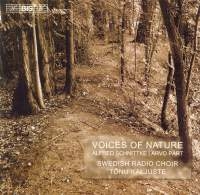 Schnittke/Pärt - Voices Of Nature i gruppen VI TIPSAR / Julklappstips CD hos Bengans Skivbutik AB (547257)