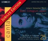 Bach Johann Sebastian - Cantatas Vol 25 i gruppen Externt_Lager / Naxoslager hos Bengans Skivbutik AB (548302)