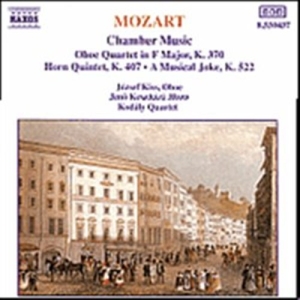 Mozart Wolfgang Amadeus - Chamber Music i gruppen VI TIPSAR / Julklappstips CD hos Bengans Skivbutik AB (5503215)