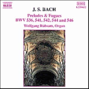 Bach Johann Sebastian - Preludes & Fugues i gruppen CD / Klassiskt hos Bengans Skivbutik AB (5503219)