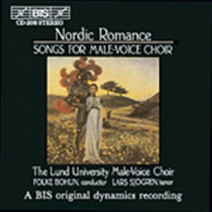 Various - Nordic Romance Male Voices i gruppen VI TIPSAR / Julklappstips CD hos Bengans Skivbutik AB (5503951)