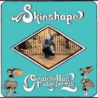 Skinshape - Craterellus Tubaeformis i gruppen VINYL / RnB-Soul hos Bengans Skivbutik AB (5506722)