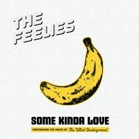 The Feelies - Some Kinda Love: Performing The Mus i gruppen VI TIPSAR / Julklappstips Vinyl hos Bengans Skivbutik AB (5507822)