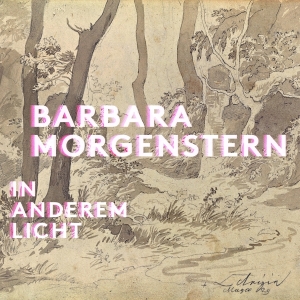 Barbara Morgenstern - In Anderem Licht i gruppen VI TIPSAR / Julklappstips Vinyl hos Bengans Skivbutik AB (5509665)