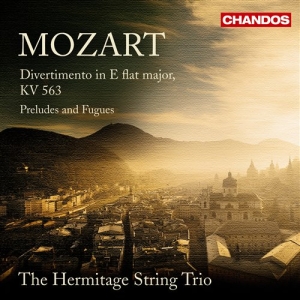 Mozart - Divertimento i gruppen VI TIPSAR / Julklappstips CD hos Bengans Skivbutik AB (5509847)