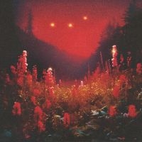 Silent Planet - Superbloom i gruppen VINYL / Hårdrock hos Bengans Skivbutik AB (5509939)