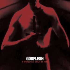 Godflesh - A World Only Lit By Fire (White Vin i gruppen VINYL / Pop-Rock hos Bengans Skivbutik AB (5510568)