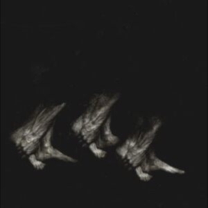 Leonov - Procession i gruppen VI TIPSAR / Fredagsreleaser / Fredag den 2:e Februari 2024 hos Bengans Skivbutik AB (5510789)