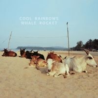 Cool Rainbows - Whale Rocket i gruppen VINYL / Pop-Rock hos Bengans Skivbutik AB (5510891)