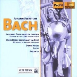 Bach - Kantaten i gruppen VI TIPSAR / Julklappstips CD hos Bengans Skivbutik AB (5511449)