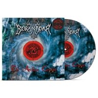 Borknagar - Archaic Course The (Picture Disc Vi i gruppen VINYL / Hårdrock hos Bengans Skivbutik AB (5512133)