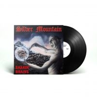 Silver Mountain - Shakin Brains (Vinyl Lp) i gruppen VI TIPSAR / Fredagsreleaser / Fredag den 27:e september 2024 hos Bengans Skivbutik AB (5513427)