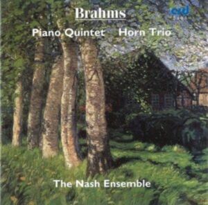 Brahms Johannes - Piano Quintet In F Minor Op.34 / Ho i gruppen MUSIK / CD-R / Klassiskt hos Bengans Skivbutik AB (5514254)