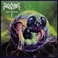 Revocation - Teratogenesis (Reissue) i gruppen VI TIPSAR / Fredagsreleaser / Fredag Den 9:e Februari 2024 hos Bengans Skivbutik AB (5518019)