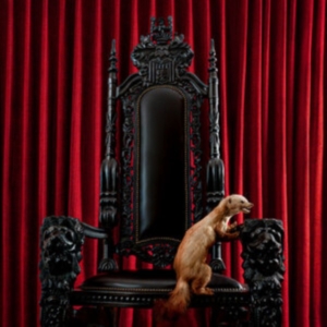 Brume - Marten (Red Vinyl Lp) i gruppen ÖVRIGT / Kommande produkter - 10 procent hos Bengans Skivbutik AB (5519026)