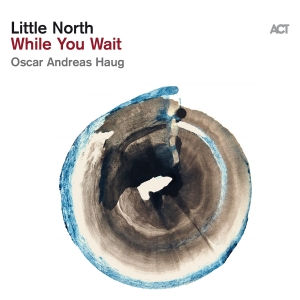 Little North - While You Wait i gruppen VINYL / Jazz hos Bengans Skivbutik AB (5519542)