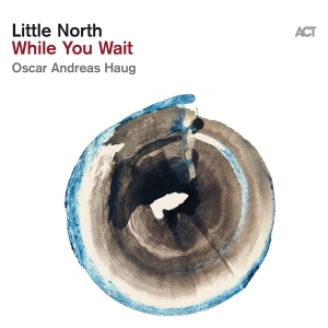 Little North - While You Wait i gruppen VI TIPSAR / Julklappstips CD hos Bengans Skivbutik AB (5519543)