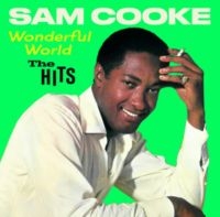 Sam Cooke - Wonderful World - The Hits i gruppen VI TIPSAR / Julklappstips CD hos Bengans Skivbutik AB (5521640)