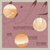 Tilt - Something We Once Knew i gruppen VINYL / Jazz hos Bengans Skivbutik AB (5521929)