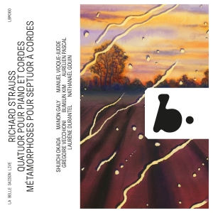Richard Strauss - Quatuor Pour Piano Et Cordes - Meta i gruppen CD / Klassiskt hos Bengans Skivbutik AB (5522090)