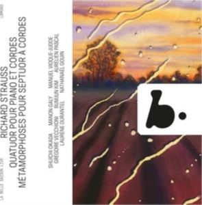 Richard Strauss - Quatuor Pour Piano Et Cordes - Meta i gruppen CD / Klassiskt hos Bengans Skivbutik AB (5522090)