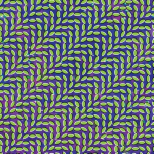 Animal Collective - Merriweather Post Pavillion i gruppen VI TIPSAR / Fredagsreleaser / Fredag den 28:e Juni 2024 hos Bengans Skivbutik AB (5522808)