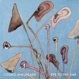 Cosmo Sheldrake - Eye To The Ear i gruppen VINYL / Pop-Rock hos Bengans Skivbutik AB (5523200)