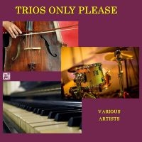Trios Only Please - Trios Only Please i gruppen CD / Jazz hos Bengans Skivbutik AB (5523710)