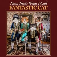 Fantastic Cat - Now That's What I Call Fantastic Ca i gruppen VI TIPSAR / Fredagsreleaser / Fredag den 7:e Juni 2024 hos Bengans Skivbutik AB (5524073)