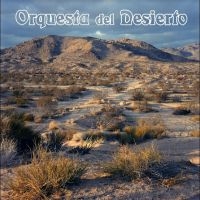 Orquesta Del Desierto - Orquesta Del Desierto i gruppen VI TIPSAR / Fredagsreleaser / Fredag den 14:e Juni 2024 hos Bengans Skivbutik AB (5535794)