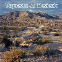 Orquesta Del Desierto - Orquesta Del Desierto i gruppen VI TIPSAR / Fredagsreleaser / Fredag den 31:a Maj 2024 hos Bengans Skivbutik AB (5535797)