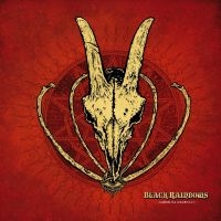 Black Rainbows - Carmina Diabolo i gruppen VI TIPSAR / Startsida - CD Nyheter & Kommande hos Bengans Skivbutik AB (5535806)