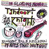 Tandoori Knights - 14 Hits That Don't Quit i gruppen VI TIPSAR / Julklappstips Vinyl hos Bengans Skivbutik AB (5538856)