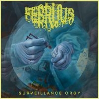 Februus - Surveillance Orgy (Digipack) i gruppen VI TIPSAR / Julklappstips CD hos Bengans Skivbutik AB (5539502)