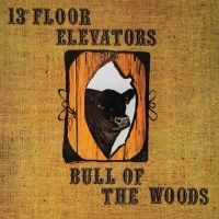 13Th Floor Elevators - Bull Of The Woods (Half Speed Remas i gruppen VI TIPSAR / Startsida - Vinyl Nyheter & Kommande hos Bengans Skivbutik AB (5539744)