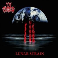 In Flames - Lunar Strain i gruppen VI TIPSAR / Julklappstips Vinyl hos Bengans Skivbutik AB (5539840)