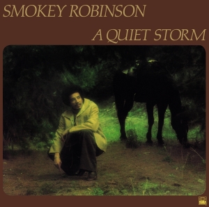Smokey Robinson - A Quiet Storm i gruppen ÖVRIGT / Övrigt / aub hos Bengans Skivbutik AB (5540391)