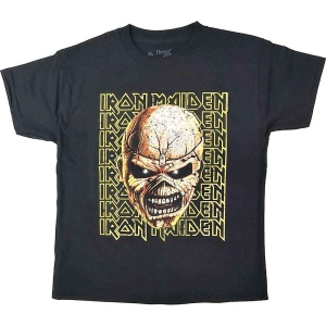 Iron Maiden - Big Trooper Head Boys T-Shirt Bl i gruppen MERCHANDISE / Merch / Hårdrock hos Bengans Skivbutik AB (5548728r)