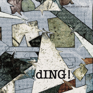 Ding - tHEY pUT yOU iN a bOX i gruppen VI TIPSAR / Startsida - Vinyl Nyheter & Kommande hos Bengans Skivbutik AB (5549172)