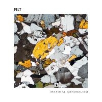 Filt - Maximal Minimalism i gruppen VINYL / Kommande / Pop-Rock hos Bengans Skivbutik AB (5549569)