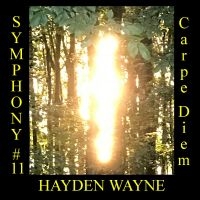 Hayden Wayne - Symphony #11: Carpe Diem i gruppen VI TIPSAR / Fredagsreleaser / Fredag den 7:e Juni 2024 hos Bengans Skivbutik AB (5549782)